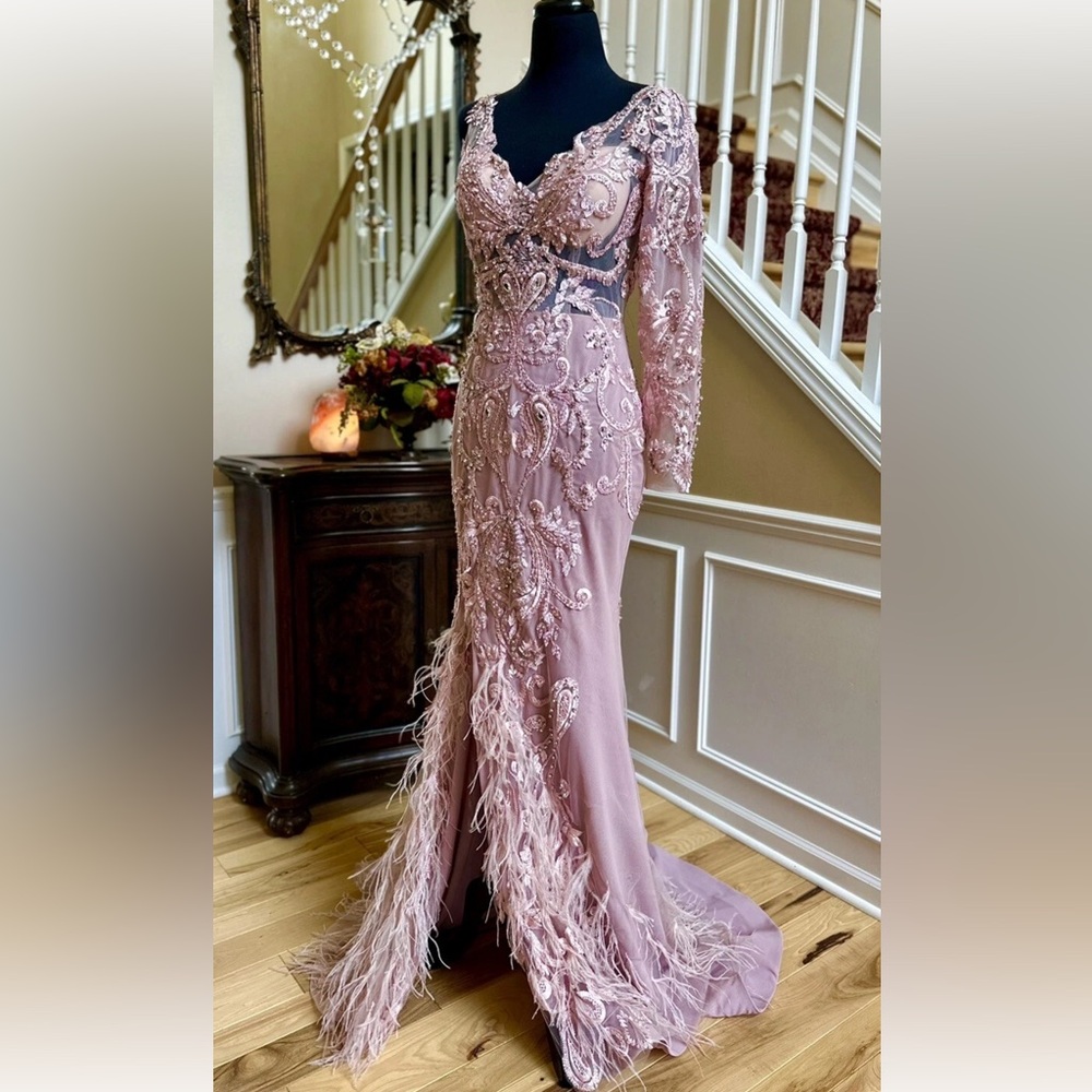 Portia and Scarlett Blush Long Sleeve Feather Fringed Embroidered Gown Size 6 - Picture 4 of 16